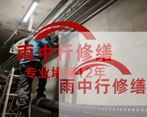 襄阳电缆线空洞堵漏加固案例