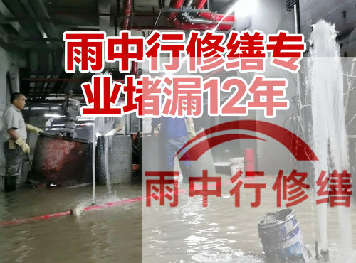 襄阳中国五矿某大型污水处理厂堵漏案例